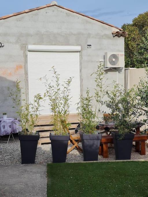 Appartement 53 M² - Pignans Au Coeur Du Var Zewnętrze zdjęcie